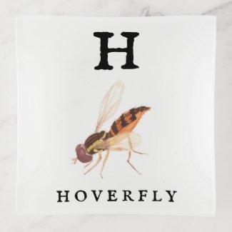 Hoverfly Trinket Tray
