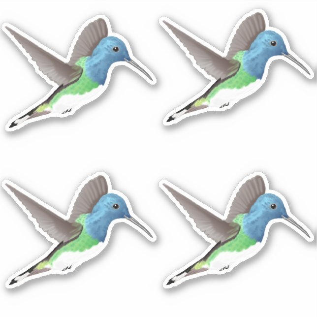 Hovering Jacobin Hummingbird - 4x custom cut. Sticker (Front)
