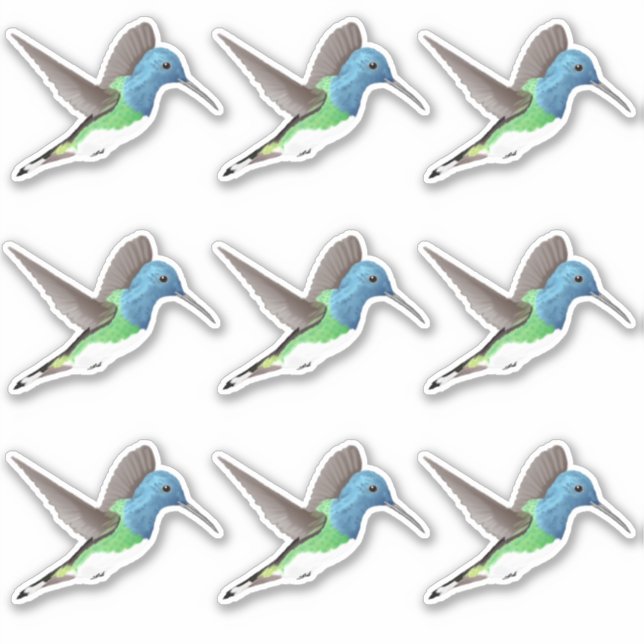 Hovering Jacobin Hummingbird - 9x custom cut. Sticker (Front)