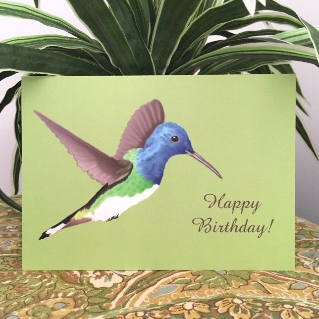 Hovering Jacobin Hummingbird - transp. birthday. Card (Creator Uploaded)