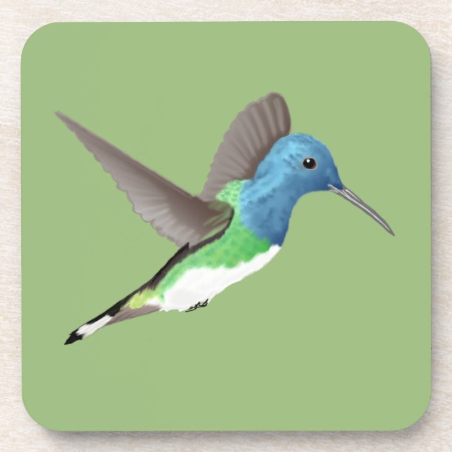 Hovering Jacobin Hummingbird - transparent.   Beverage Coaster (Front)