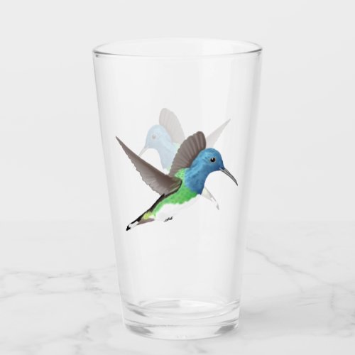 Hovering Jacobin Hummingbird _ transparent Glass