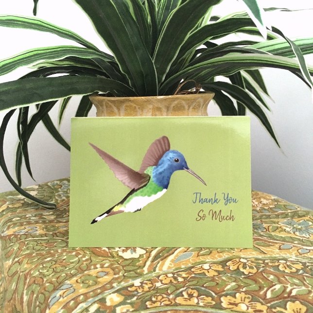 Hovering Jacobin Hummingbird - transparent. Letterpress Thank You Card (Creator Uploaded)
