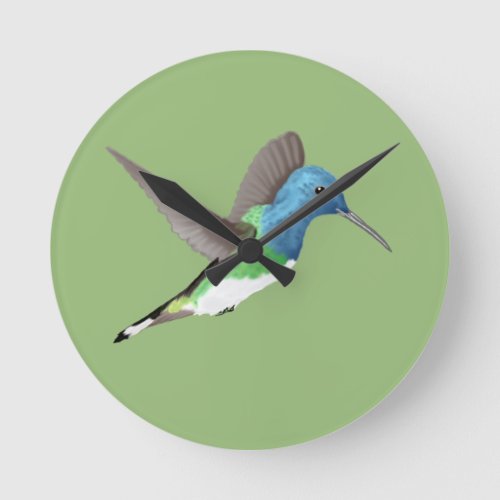 Hovering Jacobin Hummingbird _ transparent   Round Clock