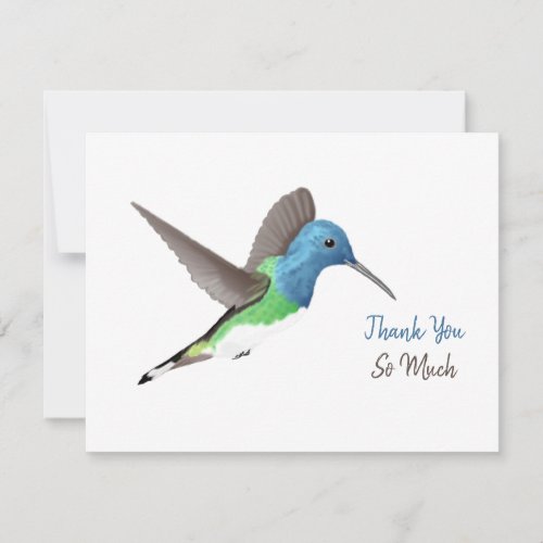 Hovering Jacobin Hummingbird _ transparent Thank  Thank You Card