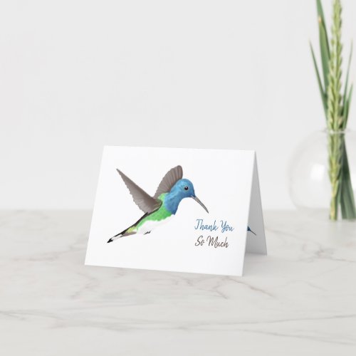 Hovering Jacobin Hummingbird _ transparent  Thank You Card