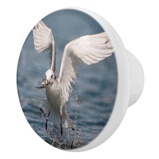 Hovering Kittiwake Ceramic Knob (Right)
