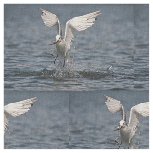 Hovering Kittiwake Fabric