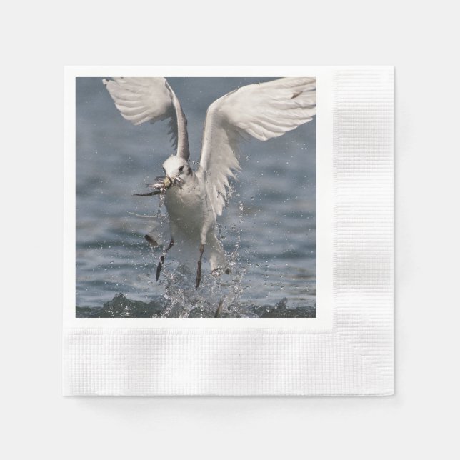 Hovering Kittiwake Napkins (Front)