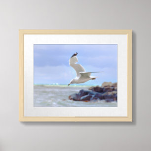 Hovering Seagull Georgian Bay Beach Landscape Framed Art