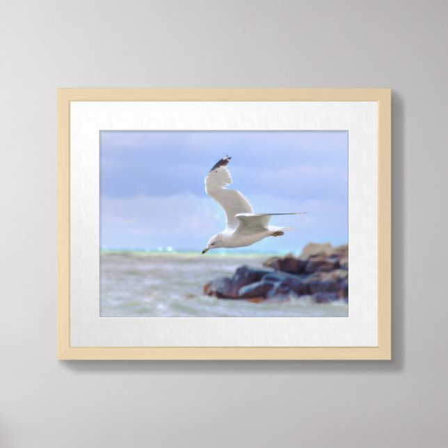 Hovering Seagull Georgian Bay Beach Landscape Framed Art (Framed Front)