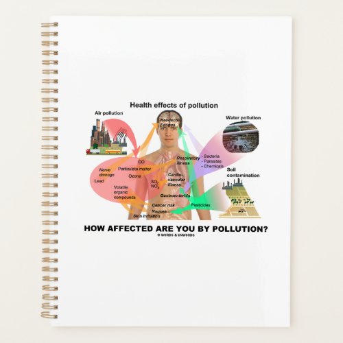 How Affected Are You By Pollution Physiology Planner