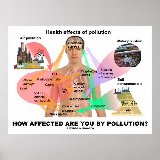 How Affected Are You By Pollution? (Physiology) Posters