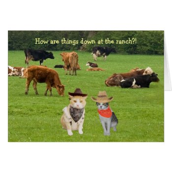 How Are Things Down At The Ranch?! by myrtieshuman at Zazzle