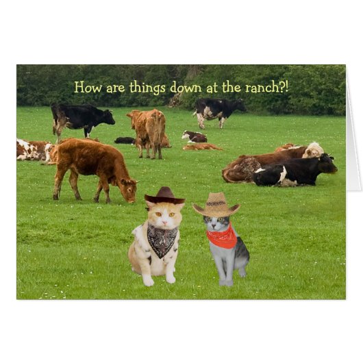 How are things down at the ranch?! cards (Front Horizontal)
