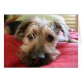 How are you? (Front Horizontal)