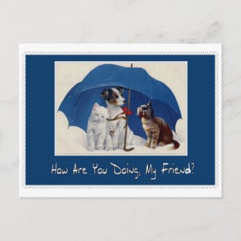 How Are You Doing My Friend Postcard? Postcard by vintagecreations at Zazzle