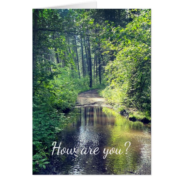 How are you? Forest Lake Wilderness Peaceful Scene Cards (Front)