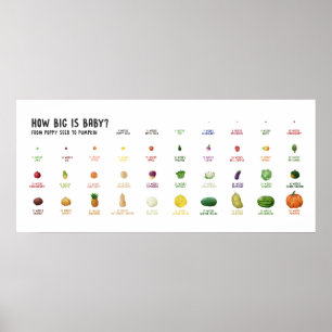 How Big is Baby? Pregnancy size fruit poster