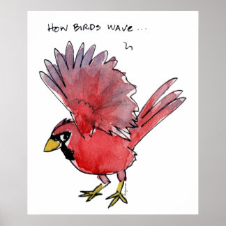 How Birds Wave Cardinal Poster