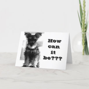 HOW CAN "YOU" BE "40" FUN BIRTHDAY CARD