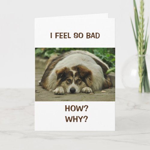 HOW COULD I  FEEL SO BAD BELATED BIRTHDAY CARD