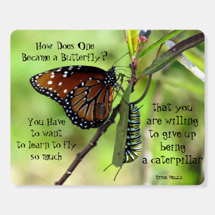 How Does One Become a Butterfly Quote Foam Board