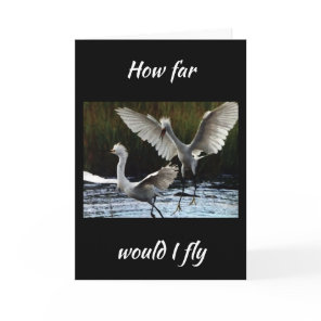 HOW FAR WOULD I FLY TO SAY *HAPPY BIRTHDAY* CARD