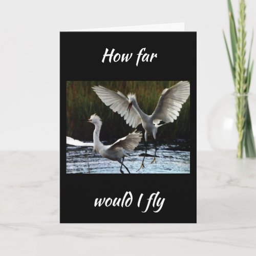 HOW FAR WOULD I FLY TO SAY HAPPY BIRTHDAY CARD