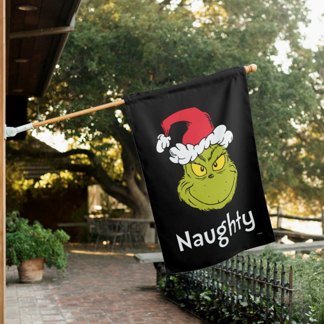 How Grinch Stole Christmas | Naughty Grinch House Flag (In SItu)