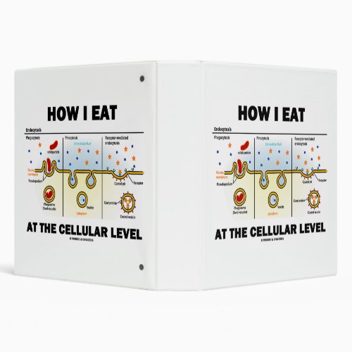 How I Eat At The Cellular Level Endocytosis 3 Ring Binder