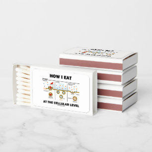 How I Eat At The Cellular Level Endocytosis Matchboxes