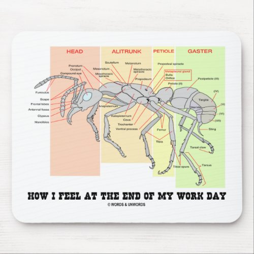 How I Feel At The End Of My Work Day Worker Ant Mouse Pad