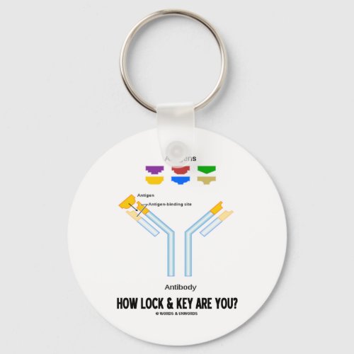 How Lock And Key Are You Antigen Antibody Keychain