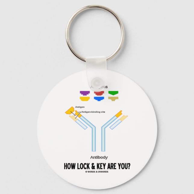 How Lock And Key Are You? (Antigen Antibody) Keychain (Front)
