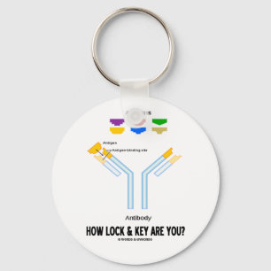 How Lock And Key Are You? (Antigen Antibody) Keychain