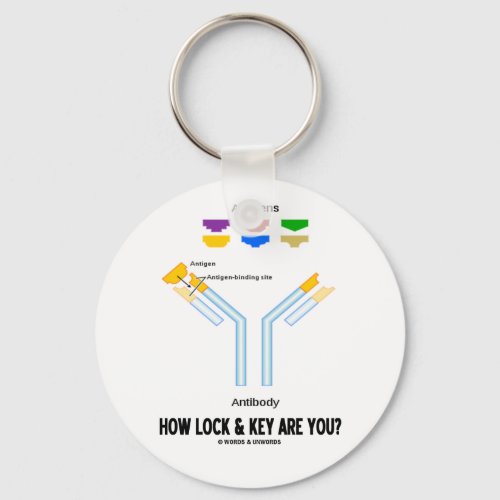 How Lock And Key Are You Antigen Antibody Keychain