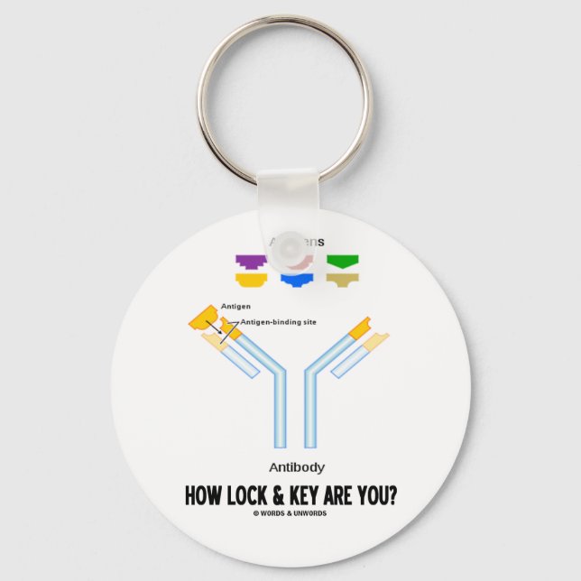 How Lock And Key Are You? (Antigen Antibody) Keychain (Front)