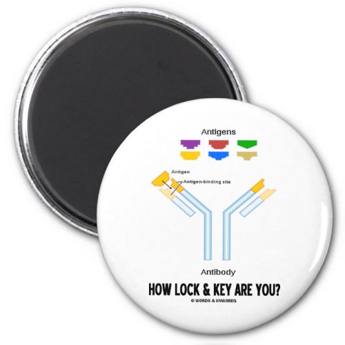 How Lock And Key Are You Antigen Antibody Magnet