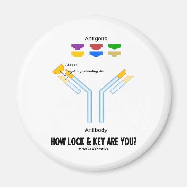 How Lock And Key Are You? (Antigen Antibody) Magnet (Front)