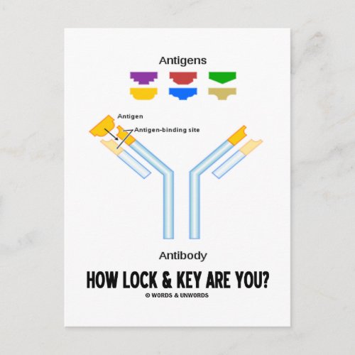 How Lock And Key Are You Antigen Antibody Postcard