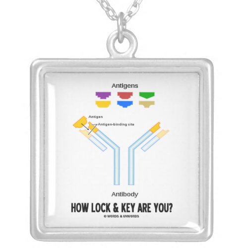How Lock And Key Are You Antigen Antibody Silver Plated Necklace