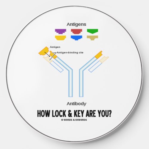 How Lock And Key Are You Antigen Antibody Wireless Charger