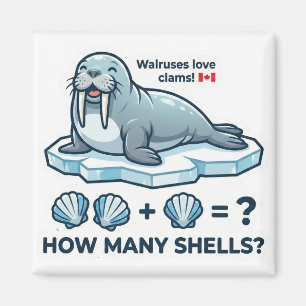 How Many Shells? – Walrus Math Learning Magnet