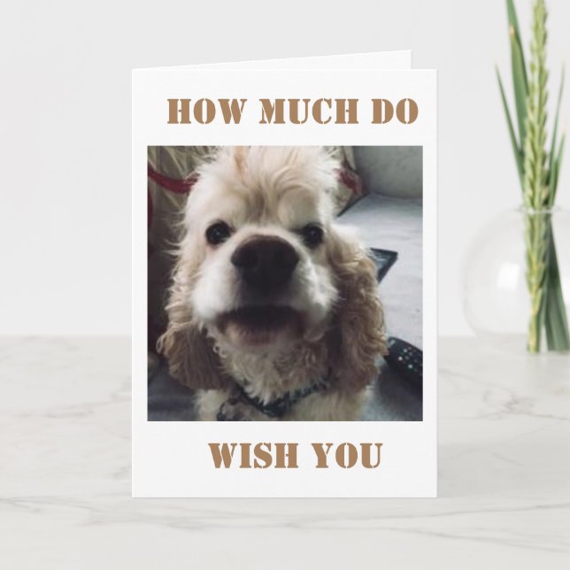 *HOW MUCH DO I WISH YOU A HAPPY 50TH* CARD (Front)