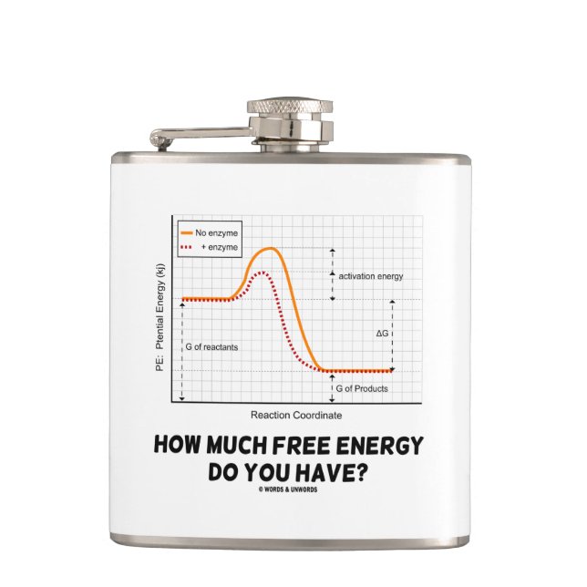 How Much Free Energy Do You Have? Chemistry Humor Flask (Front)