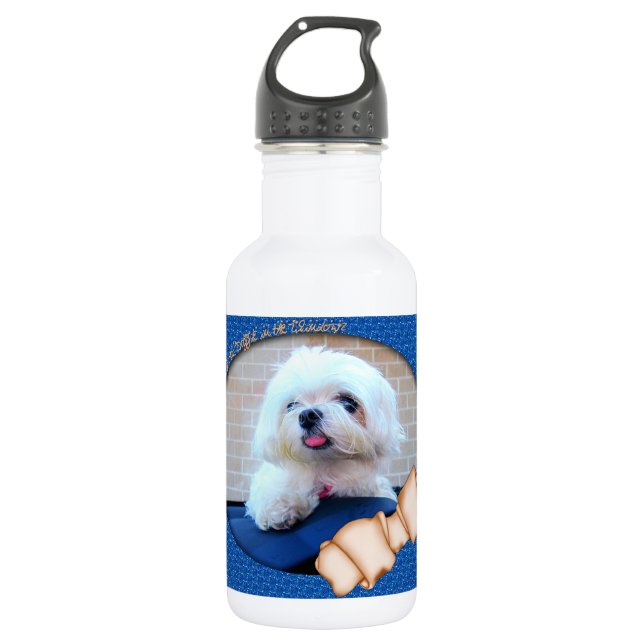 How Much Is That Doggie In The Window Water Bottle (Front)