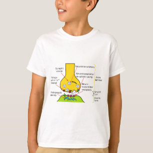How Nerve Signals Are Sent With Synapses Diagram T-Shirt
