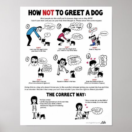 How Not To Greet A Dog (11" X 14") Kid-friendly Poster