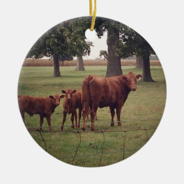 How Now Brown Cow Ceramic Ornament (Front)